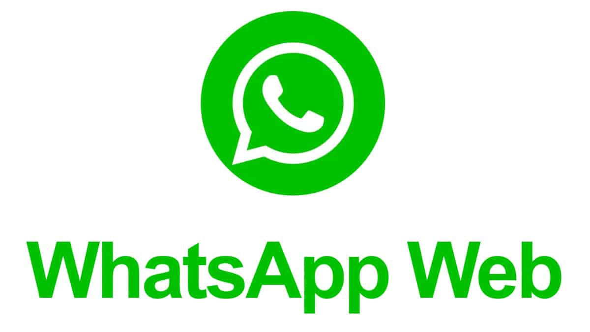 A must-have for filtering active WhatsApp accounts: a practical tutorial on the number generator!